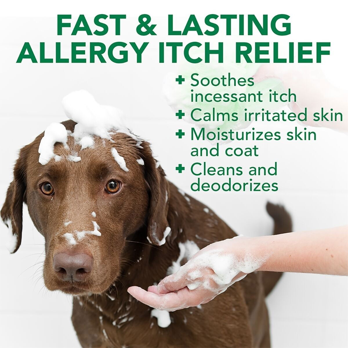 Vet's Best Allergy itch Shampoo 500ml