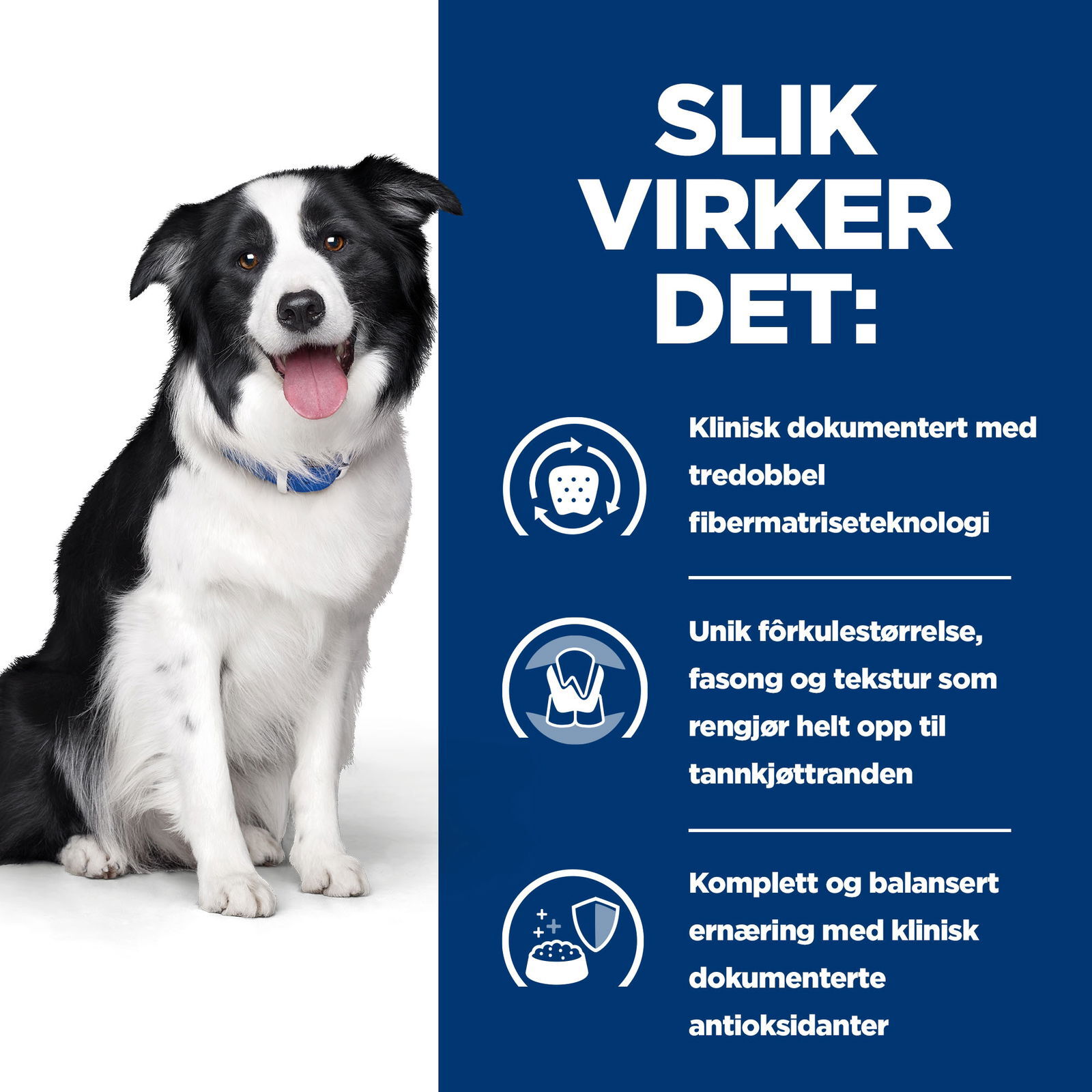 Hills Diet Dog t/d 10kg