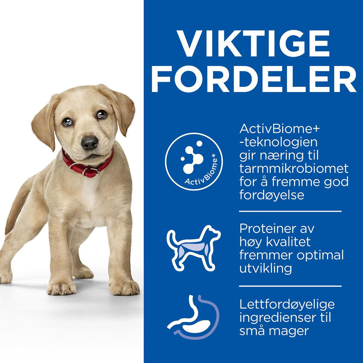 Hill's SP Puppy Perfect Digestion L Ch