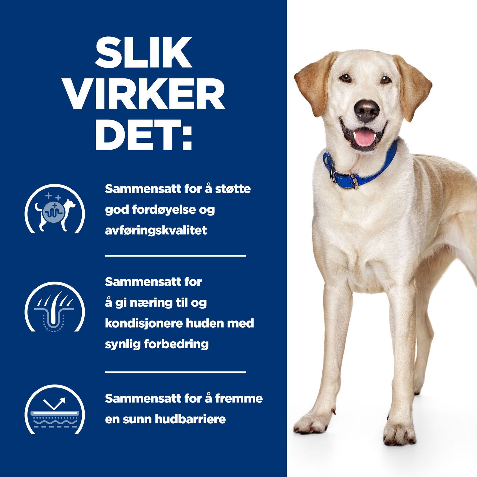 Hills Diet Dog d/d Duck & Rice 2kg