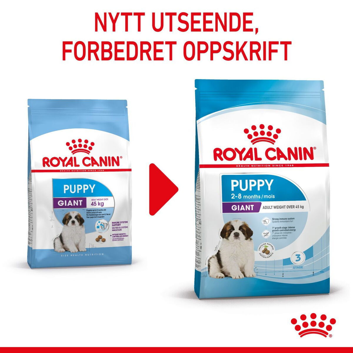 Royal Canin Giant Puppy tørrfôr til valp