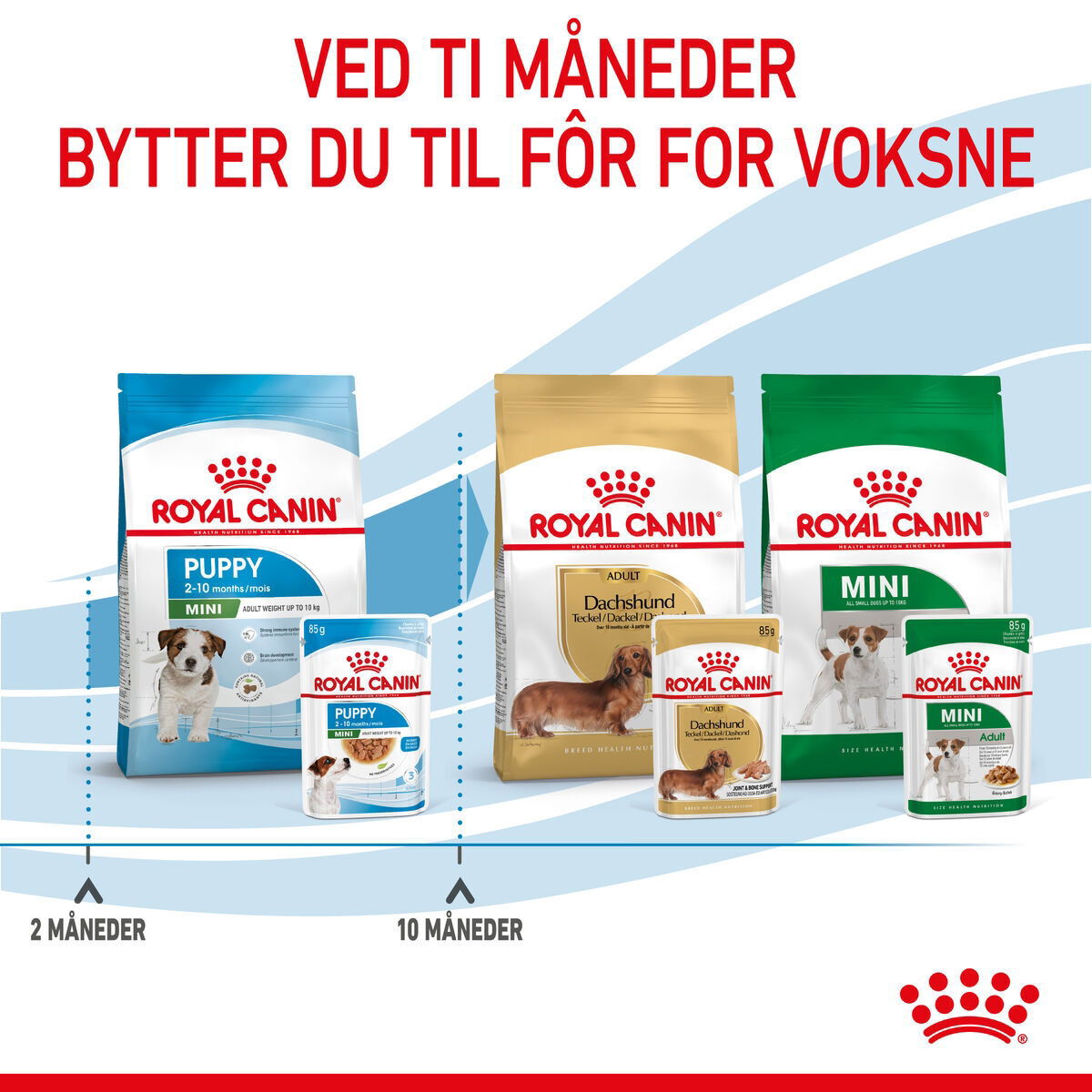 Royal Canin Mini Puppy våtfôr til valp