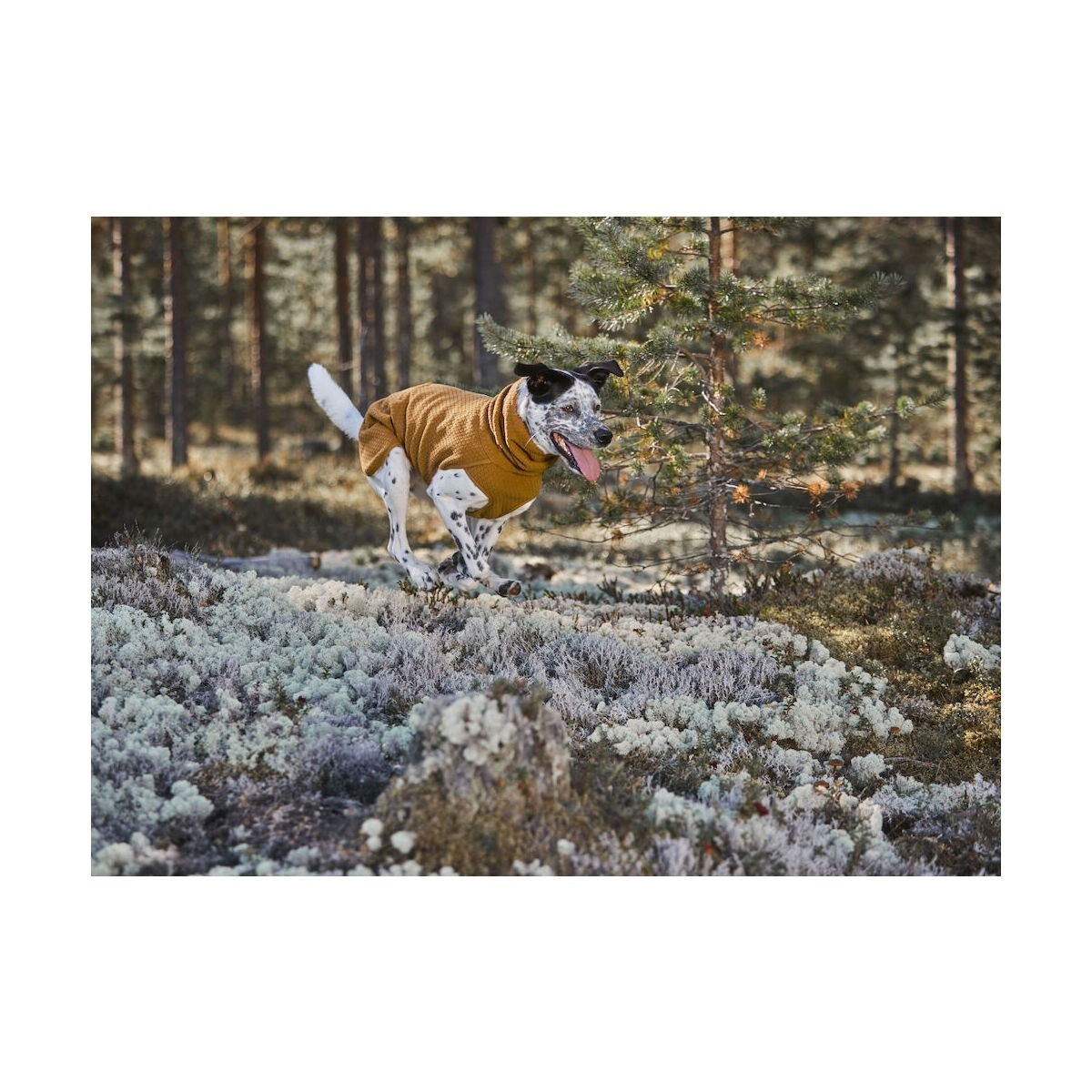 Hurtta Warming Midlayer ECO desert