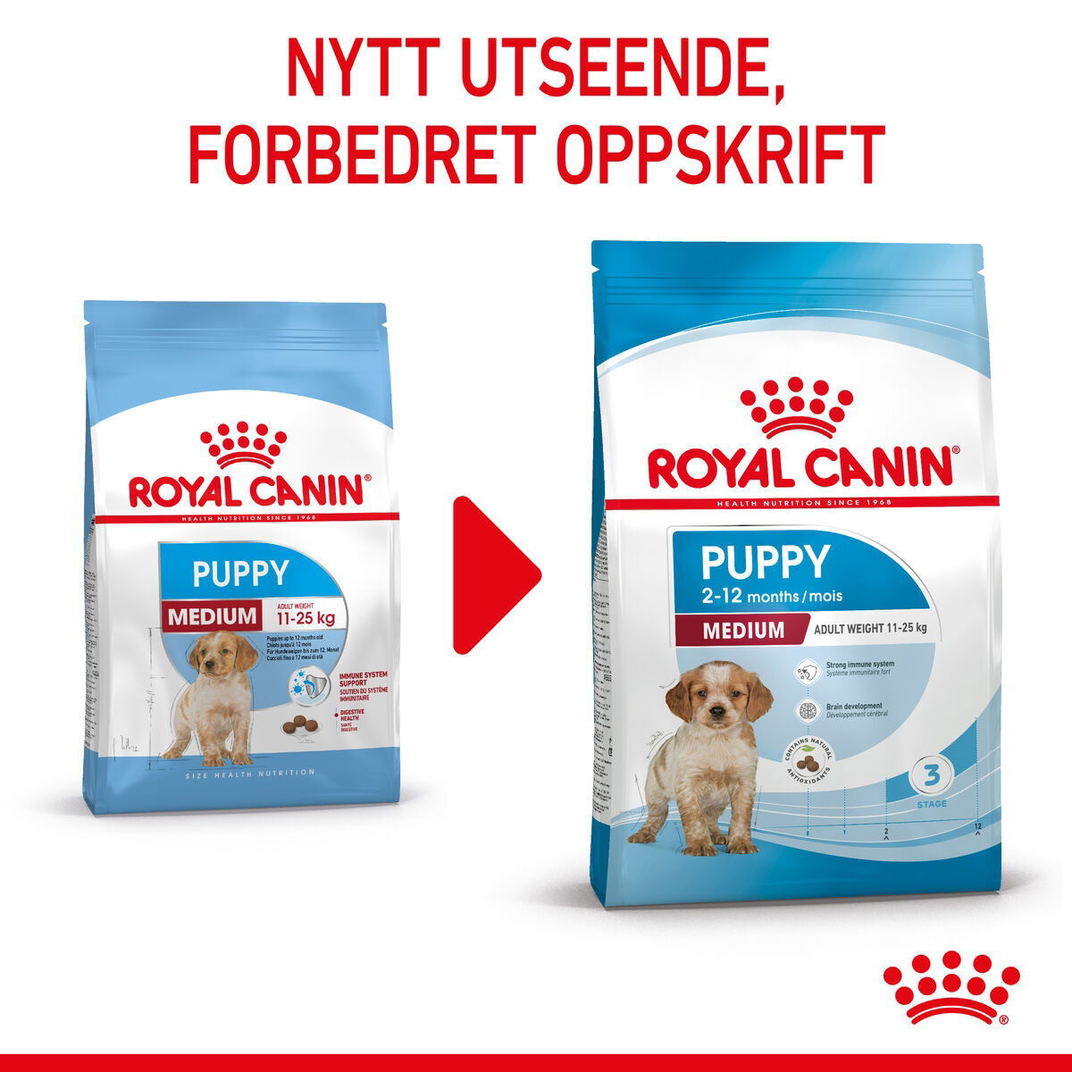 Royal Canin Medium Puppy tørrfôr til valp