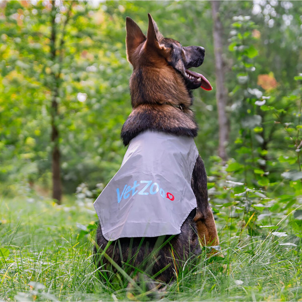 Icepeak Pet Brightly visibility vest VetZoo