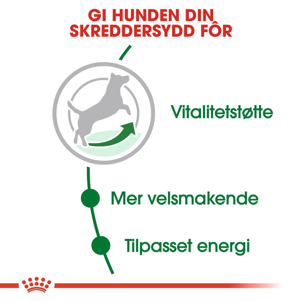 Royal Canin Mini Adult 8+ tørrfôr til hund