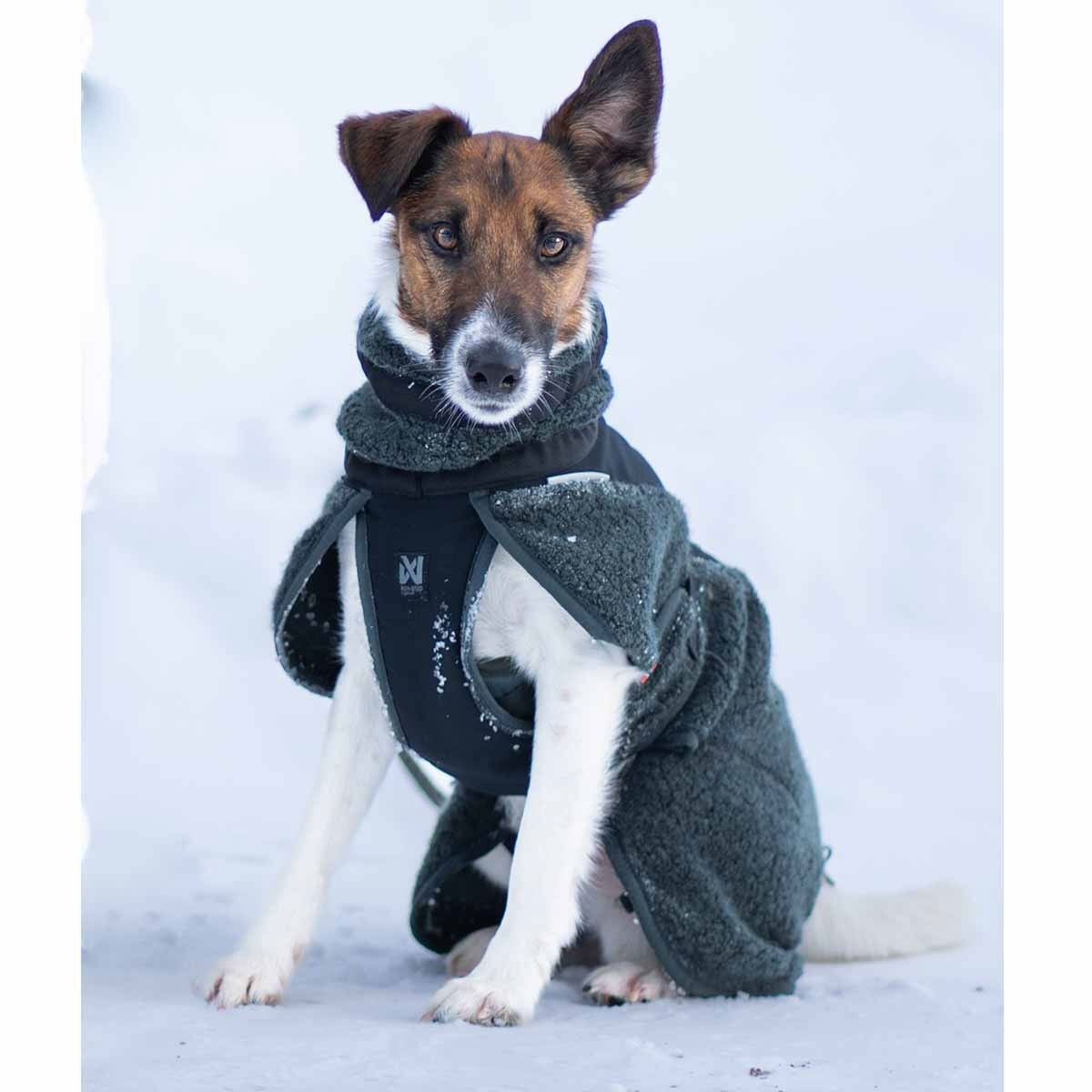 Non-Stop Wool dog jacket, dark teal