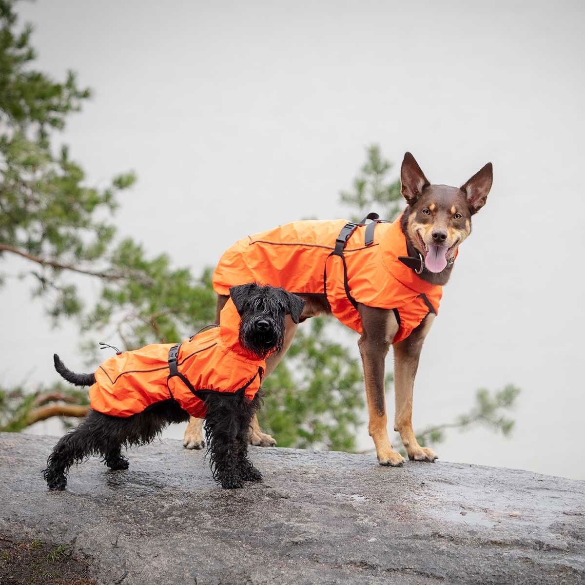 Feel Active Color reflective raincoat orange