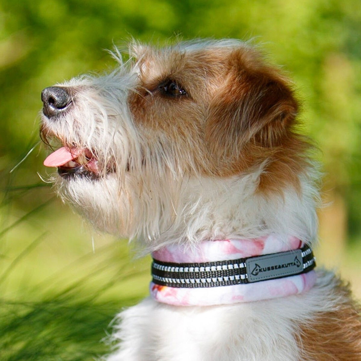 Kusse & Kutta extrawide collar, gentle rose