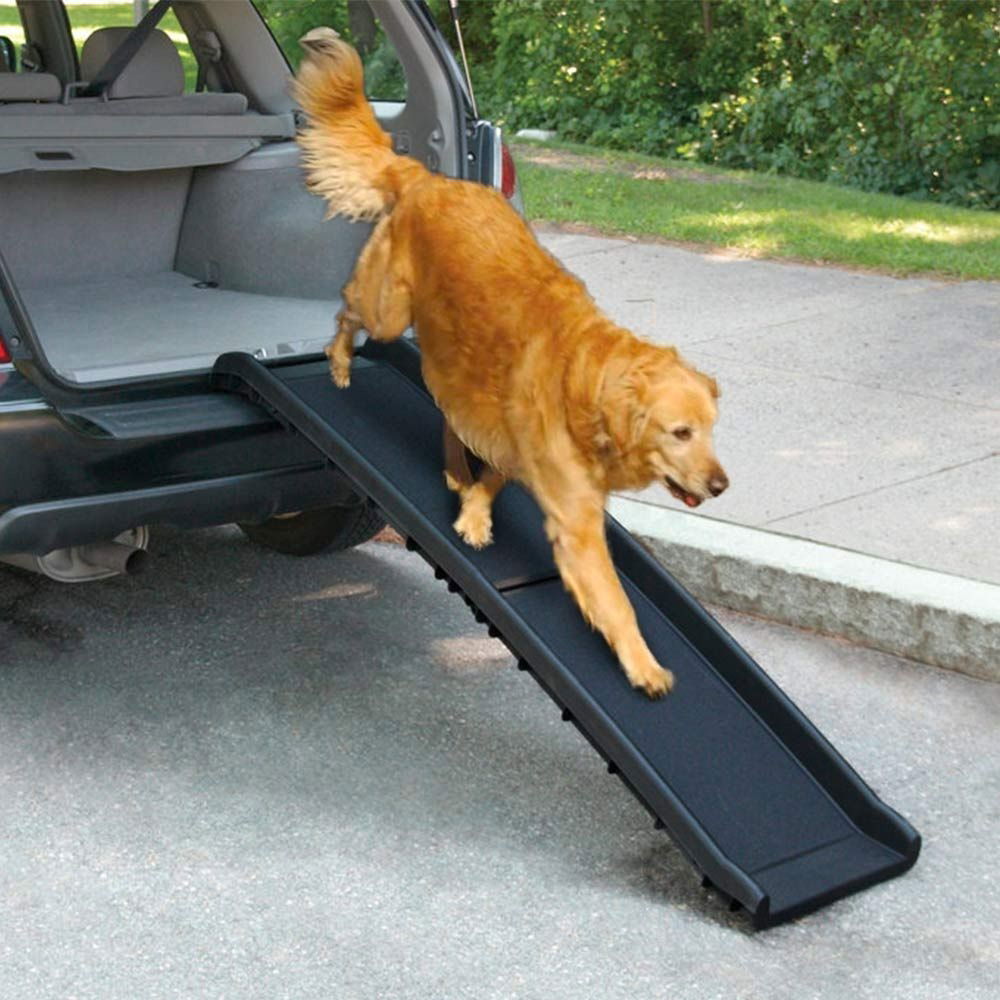 AFP Travel Dog Bilrampe