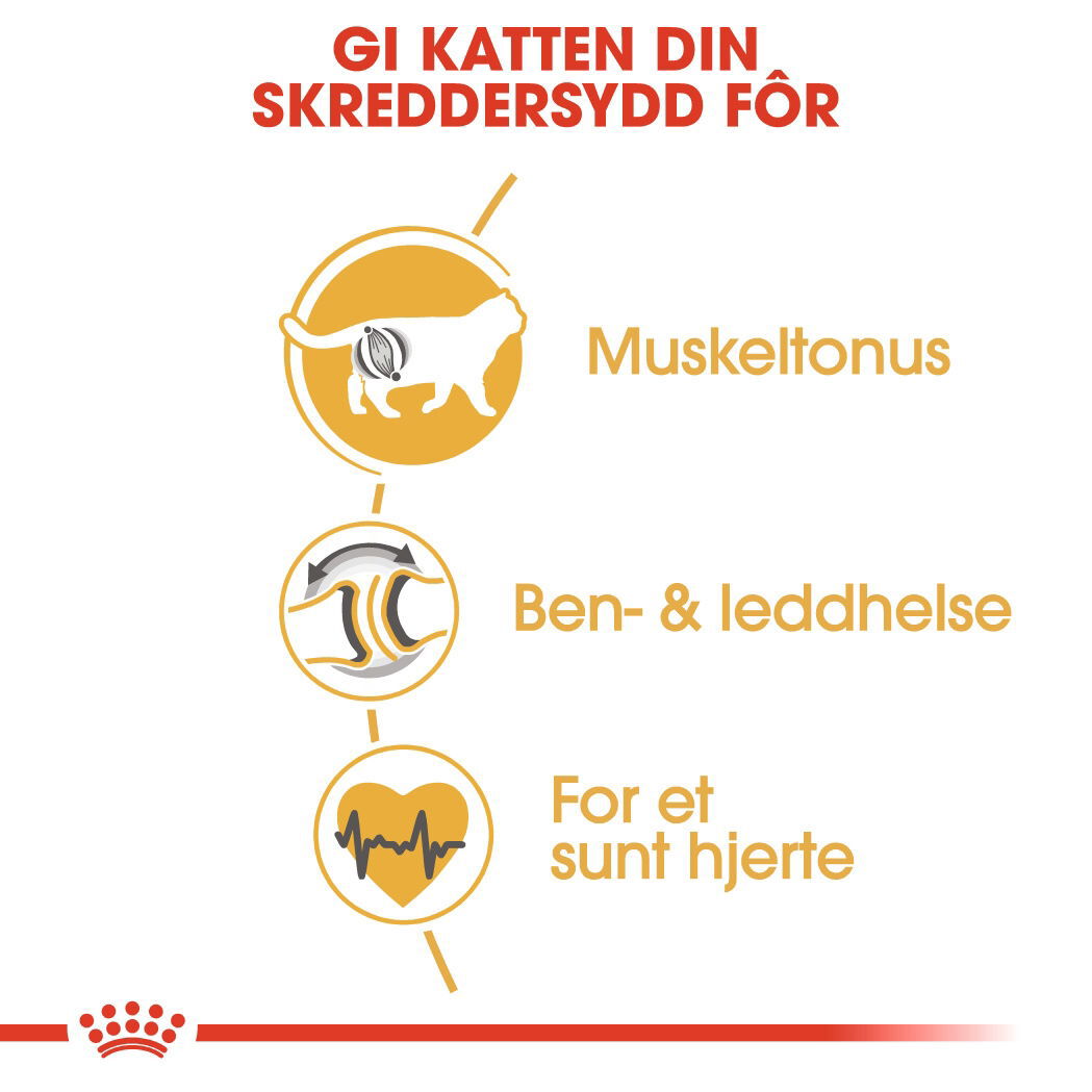 Royal Canin British Shorthair Adult tørrfôr til katt