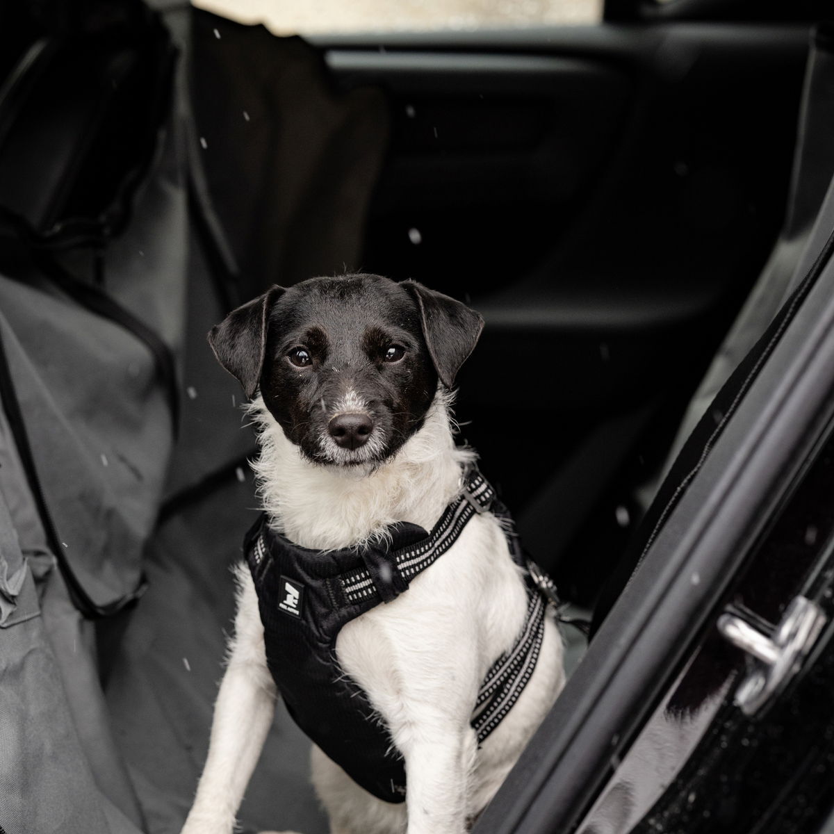 Feel Active bilsele svart