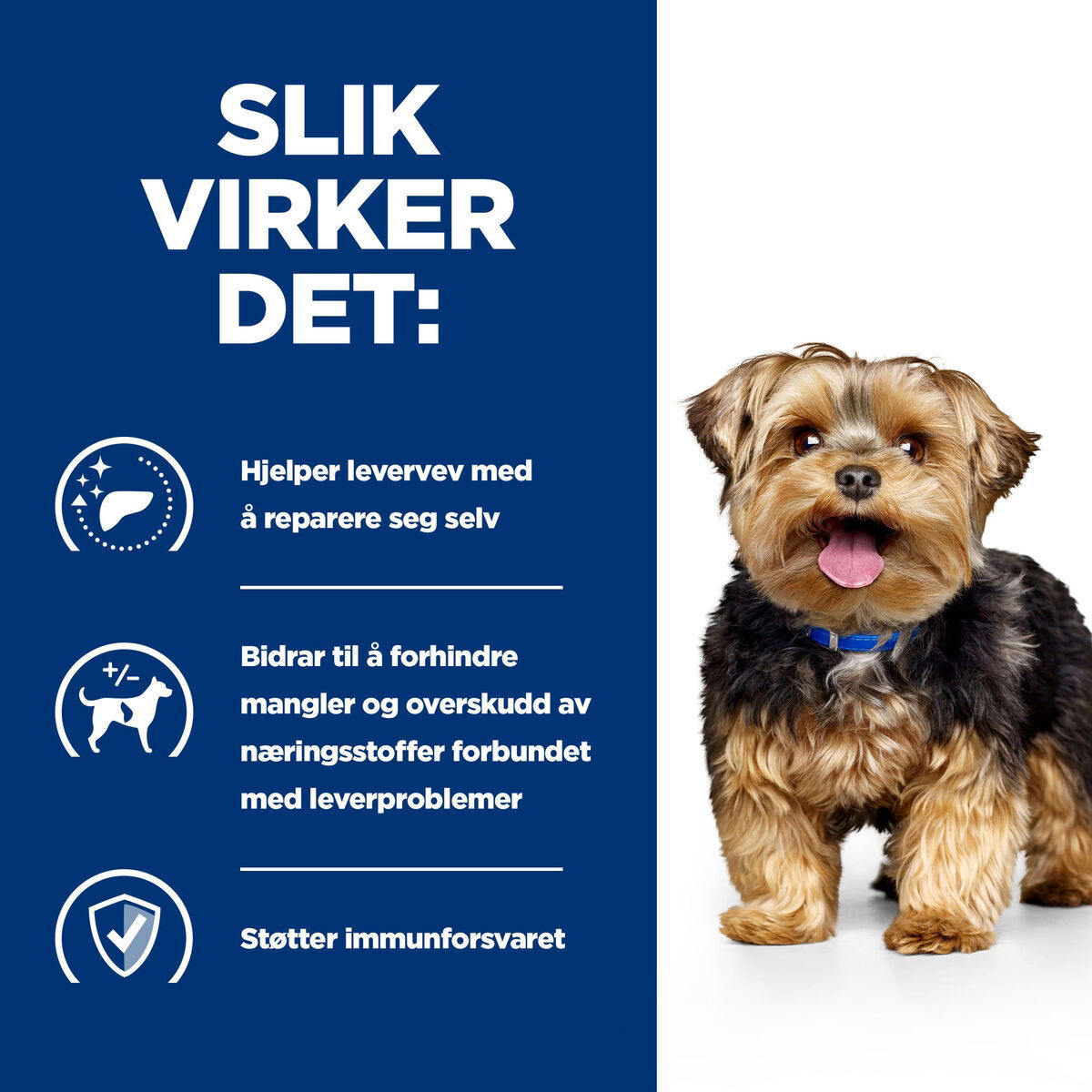 Hill's PD Canine l/d 370g