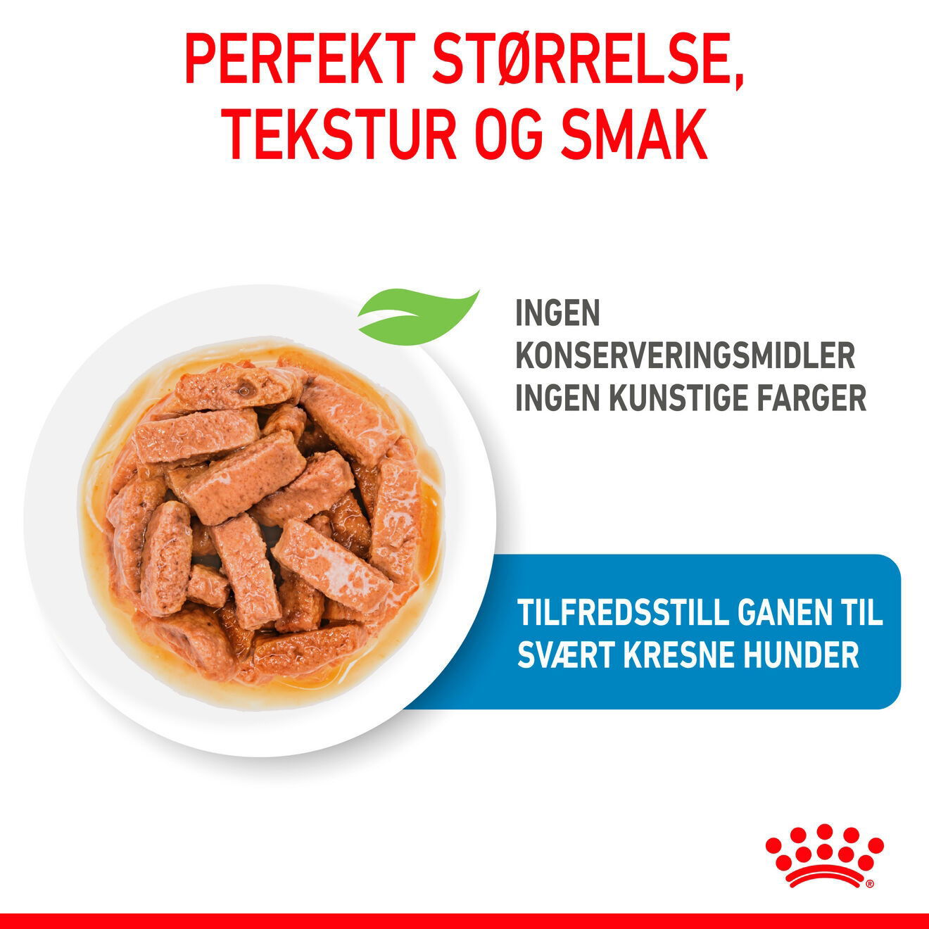 Royal Canin Maxi Puppy Gravy våtfôr til valp