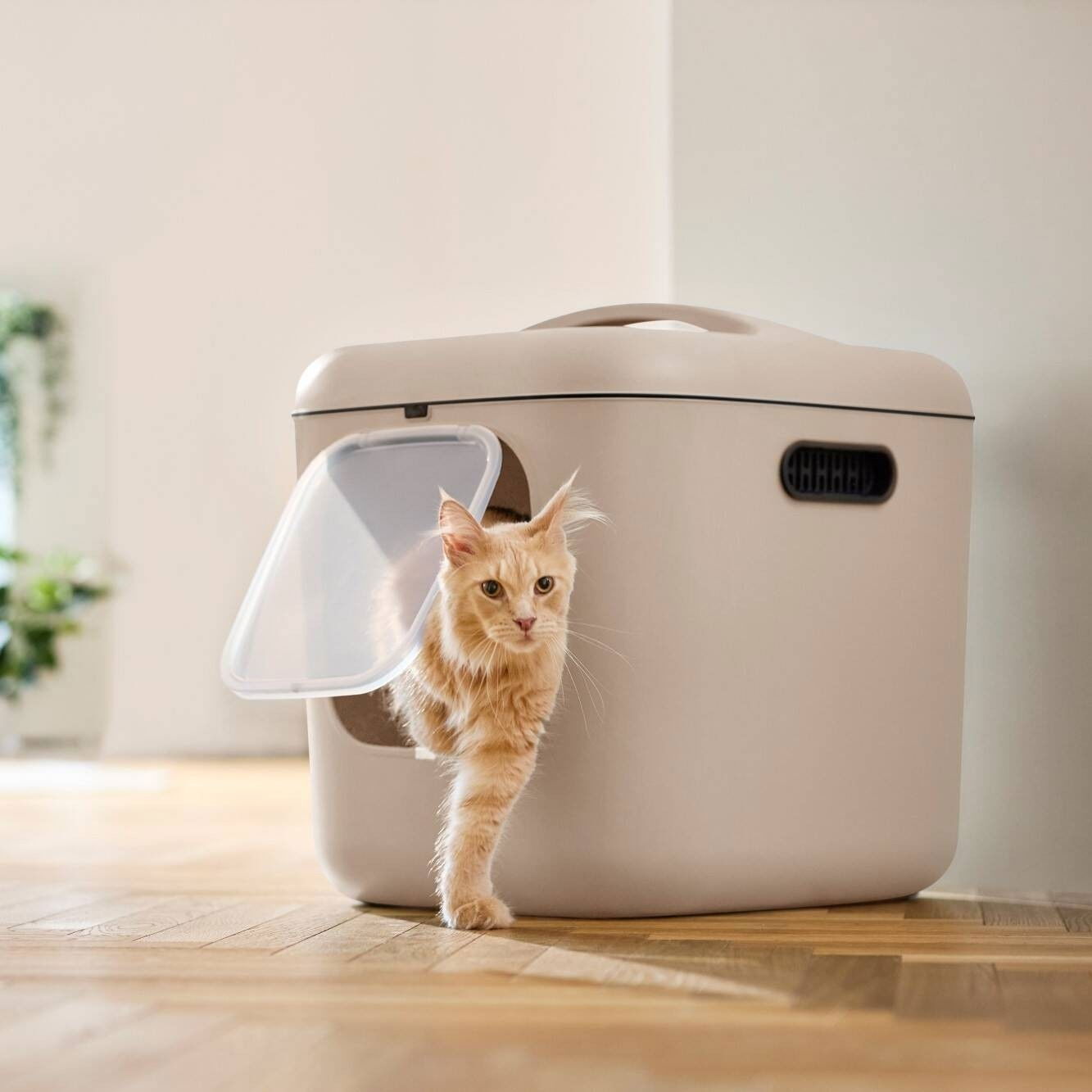 MyPet Cat Toilet Biala XL