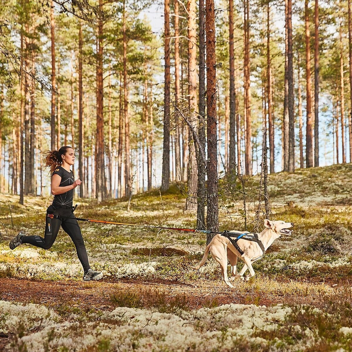 Non-stop Freemotion Trekksele 