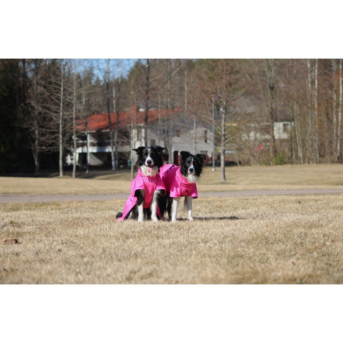 Back on Track Mesh jacket Limited Edition, Hot Pink