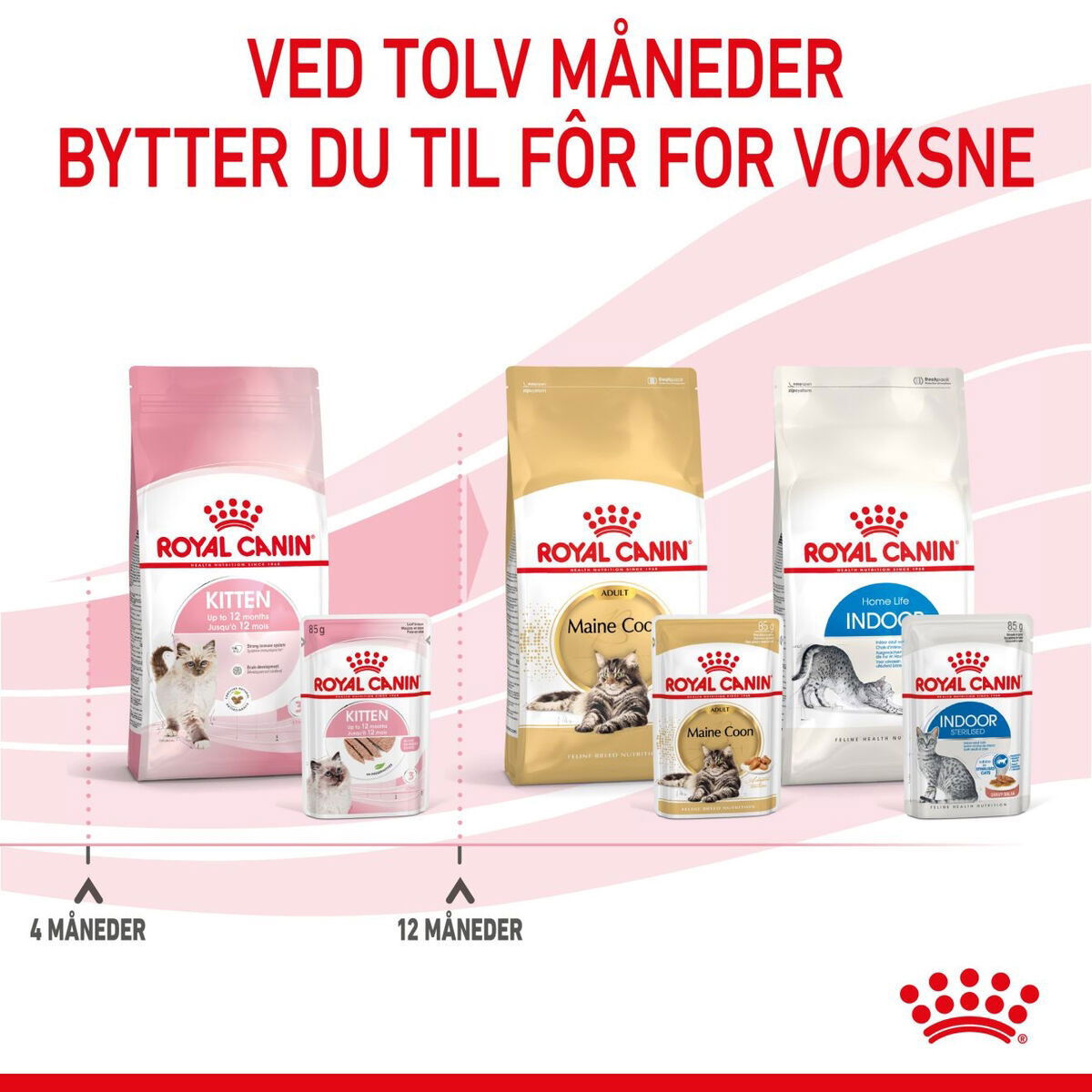 Royal Canin Kitten Loaf våtfôr til kattunge