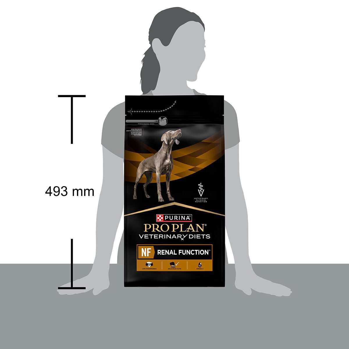 PP VD Dog NF RenalFunction 12kg