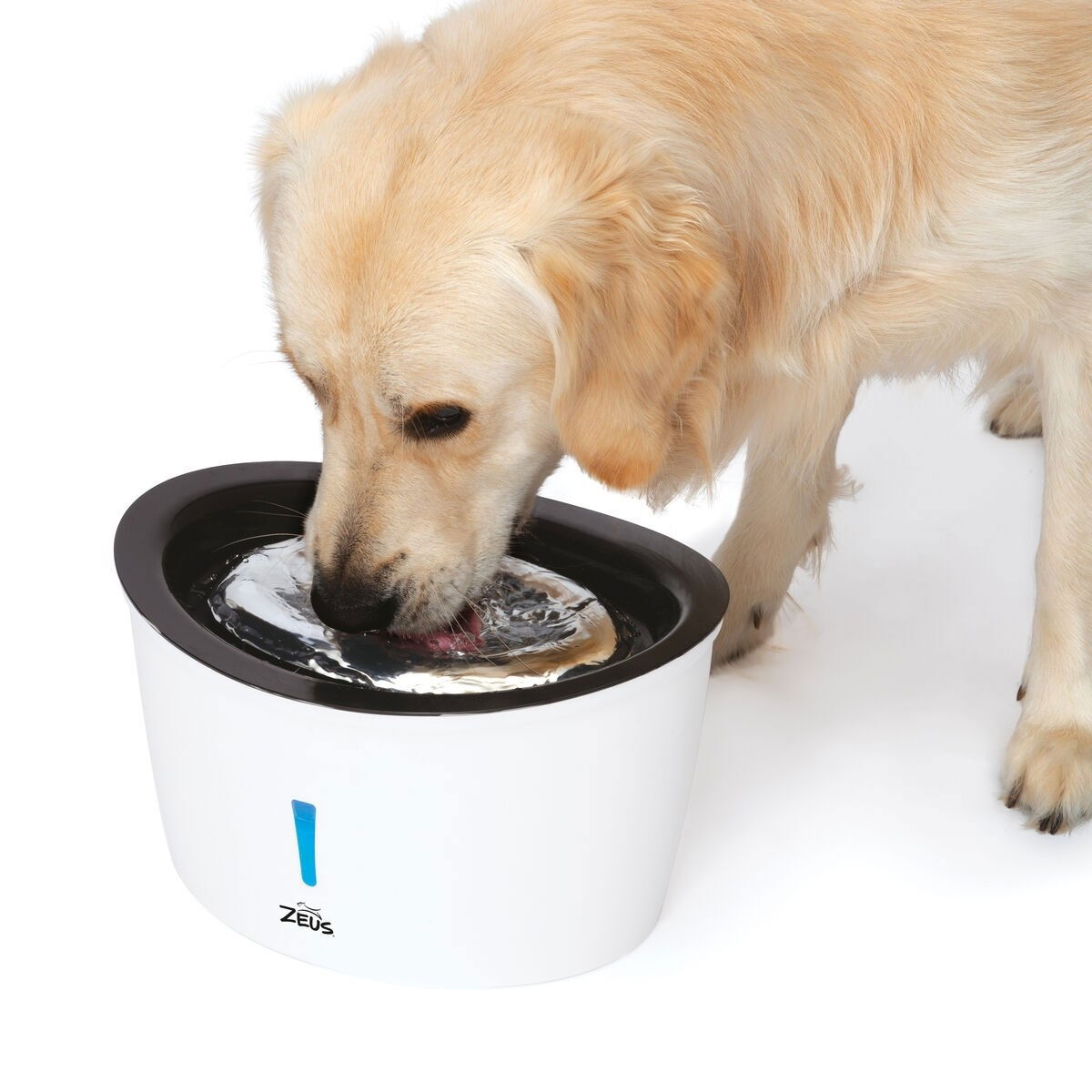 Zeus Cascade dog drinking fountain stainless steel 6 l