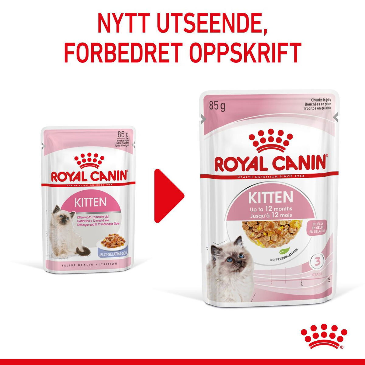 Royal Canin Kitten Jelly våtfôr til kattunge