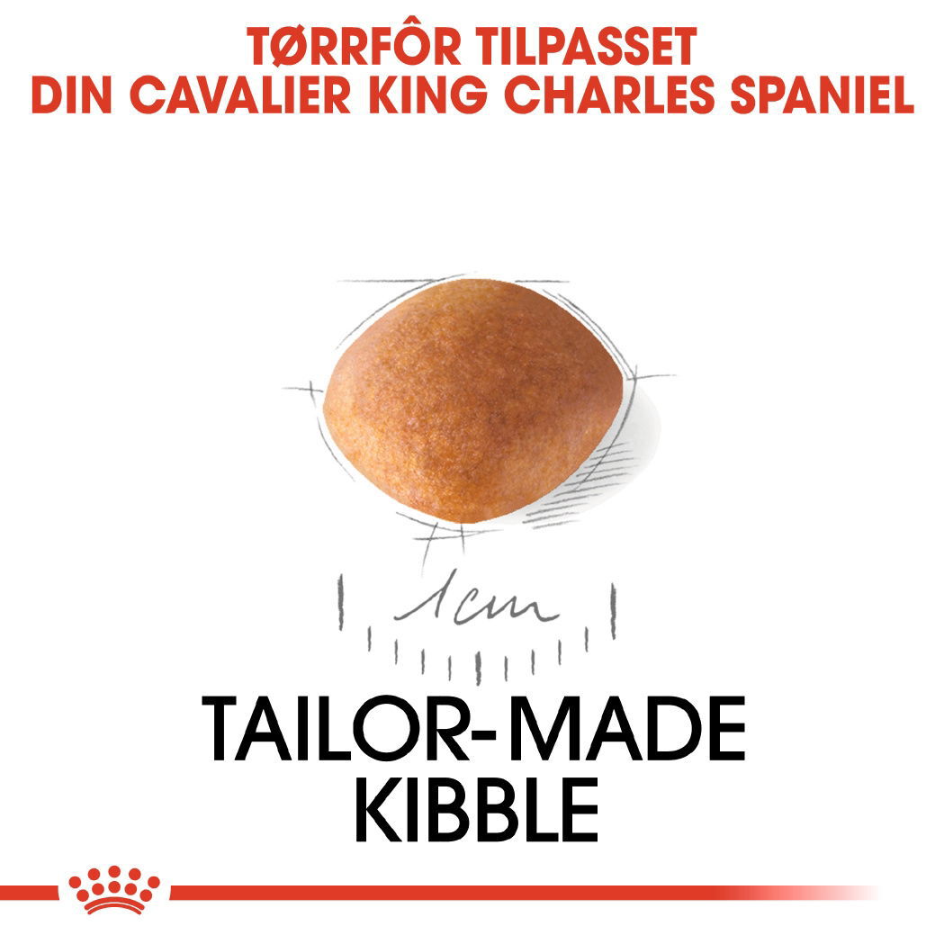 Royal Canin Cavalier King Charles Puppy tørrfôr til hundvalp