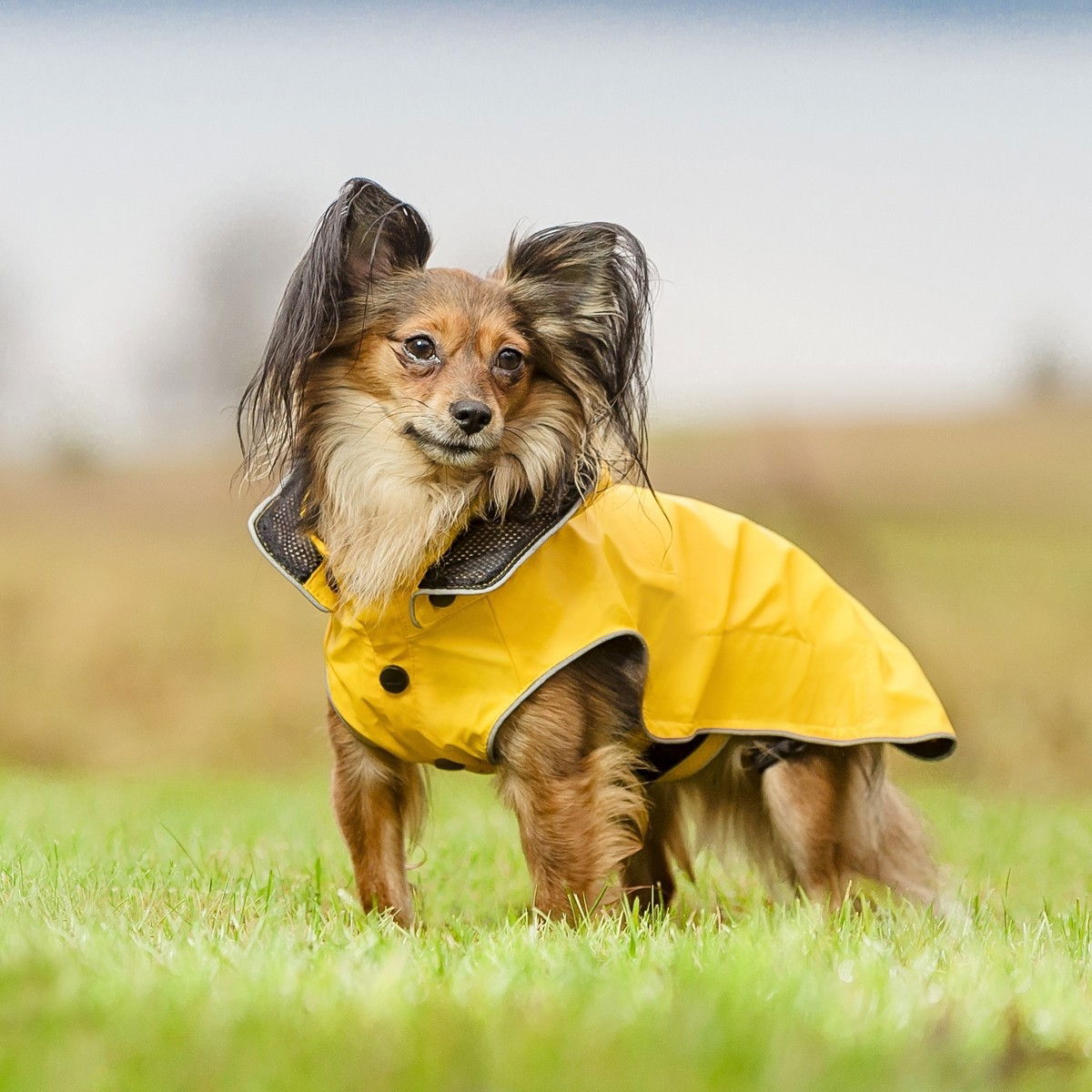 Rukka Stream regndekken gul