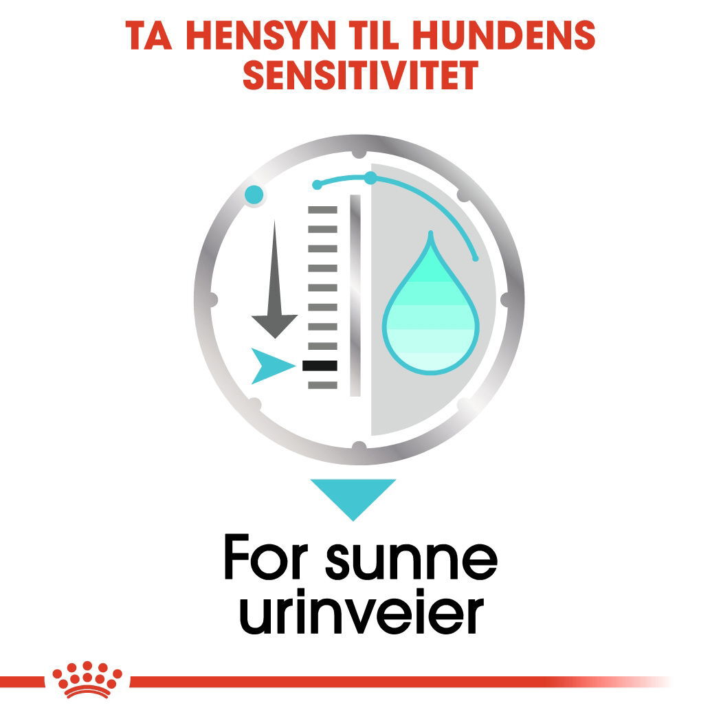 Royal Canin Urinary Care Adult Loaf våtfôr til hund