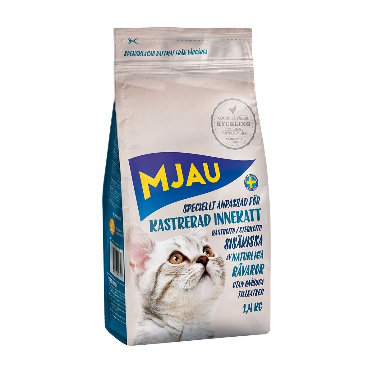 Mjau Kastrert innekatt