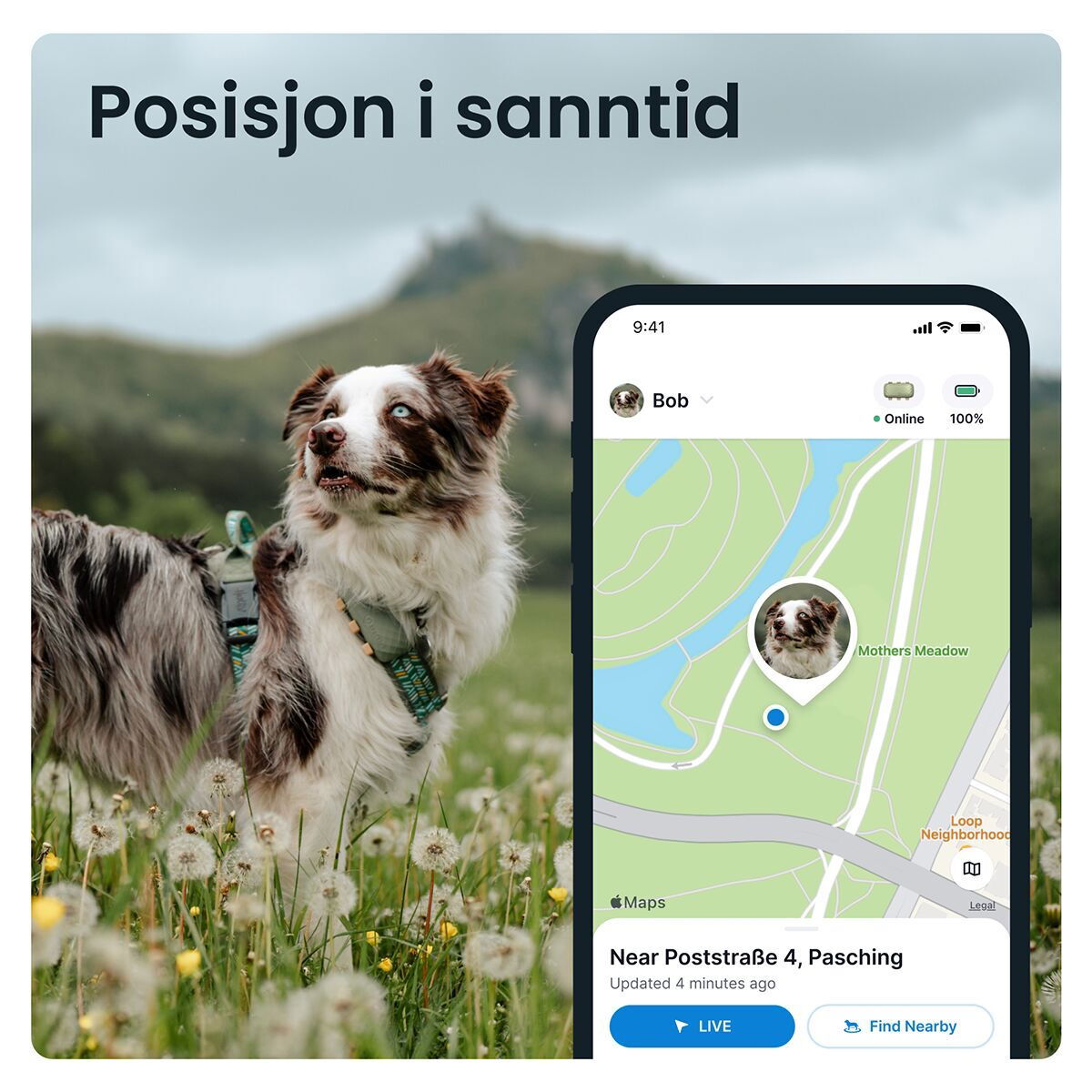Tractive for DOG XL GPS