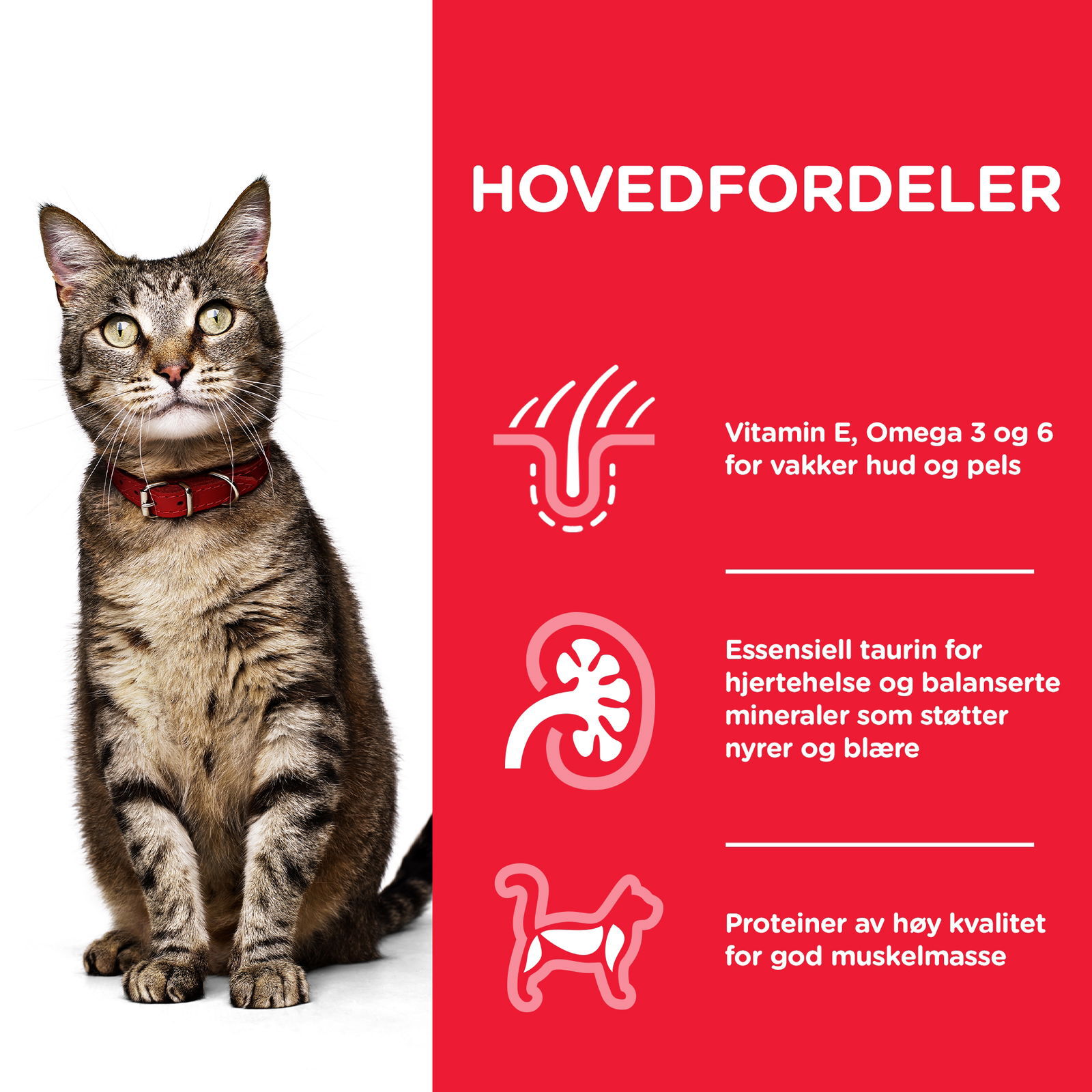 Hill's Science Plan Cat Adult Tuna