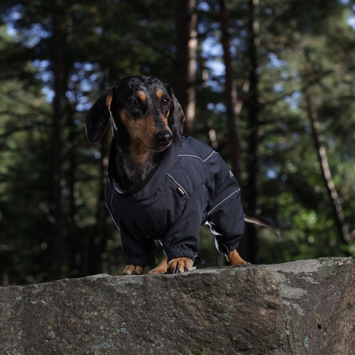 Rukka Thermal Overall Short leg 2.0 Black