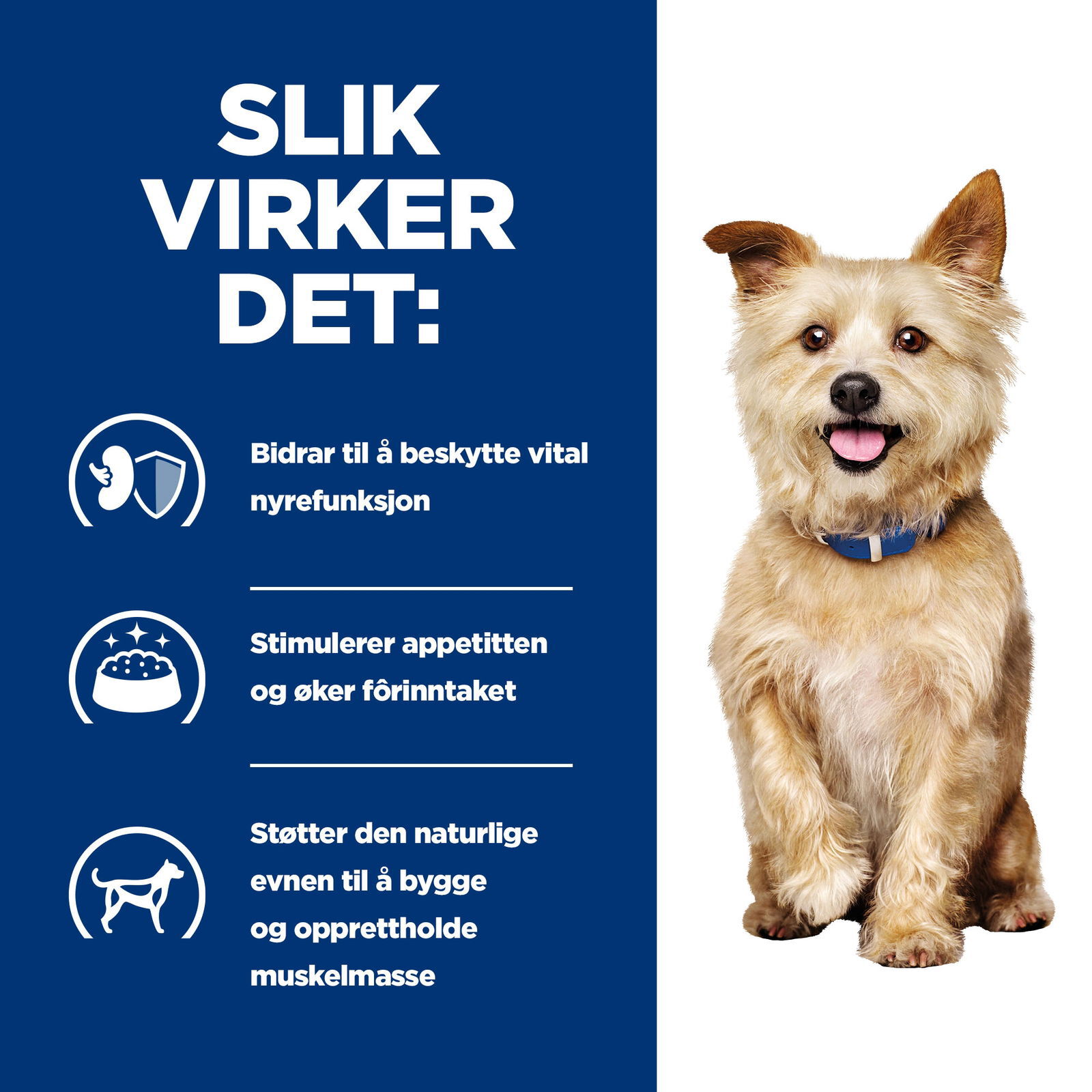 Hills Diet Dog k/d 2kg