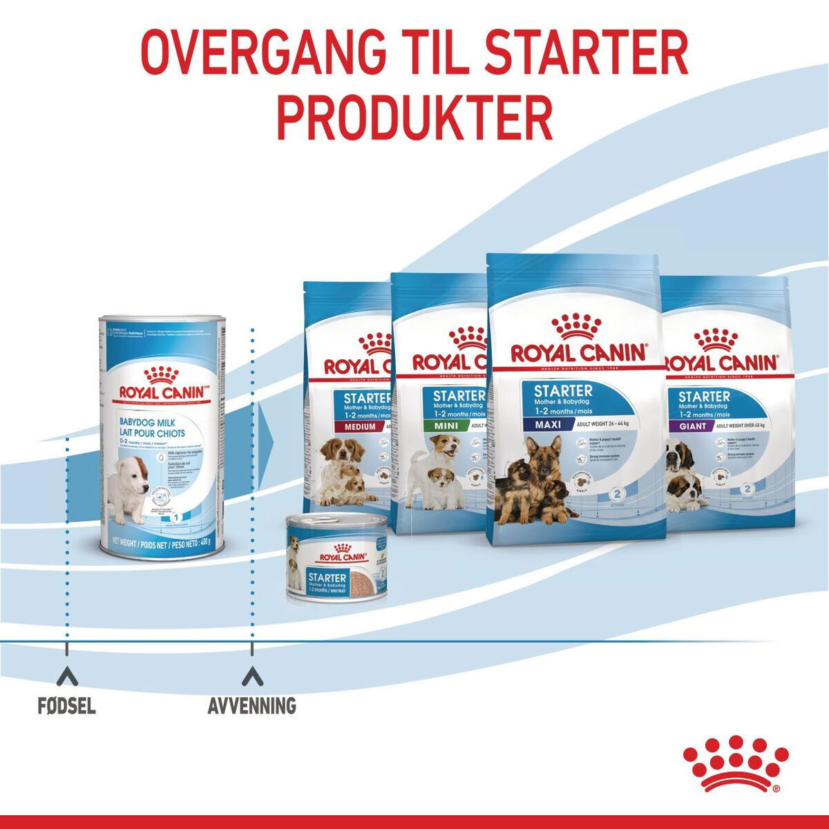 Royal Canin Babydog Milk melk til valp