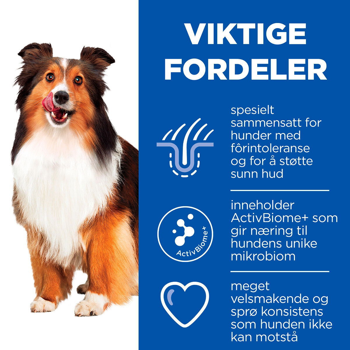 Hill's Hypoallergenic Treats 200g