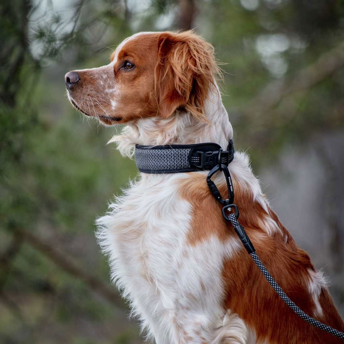 Feel Active reflective collar Black