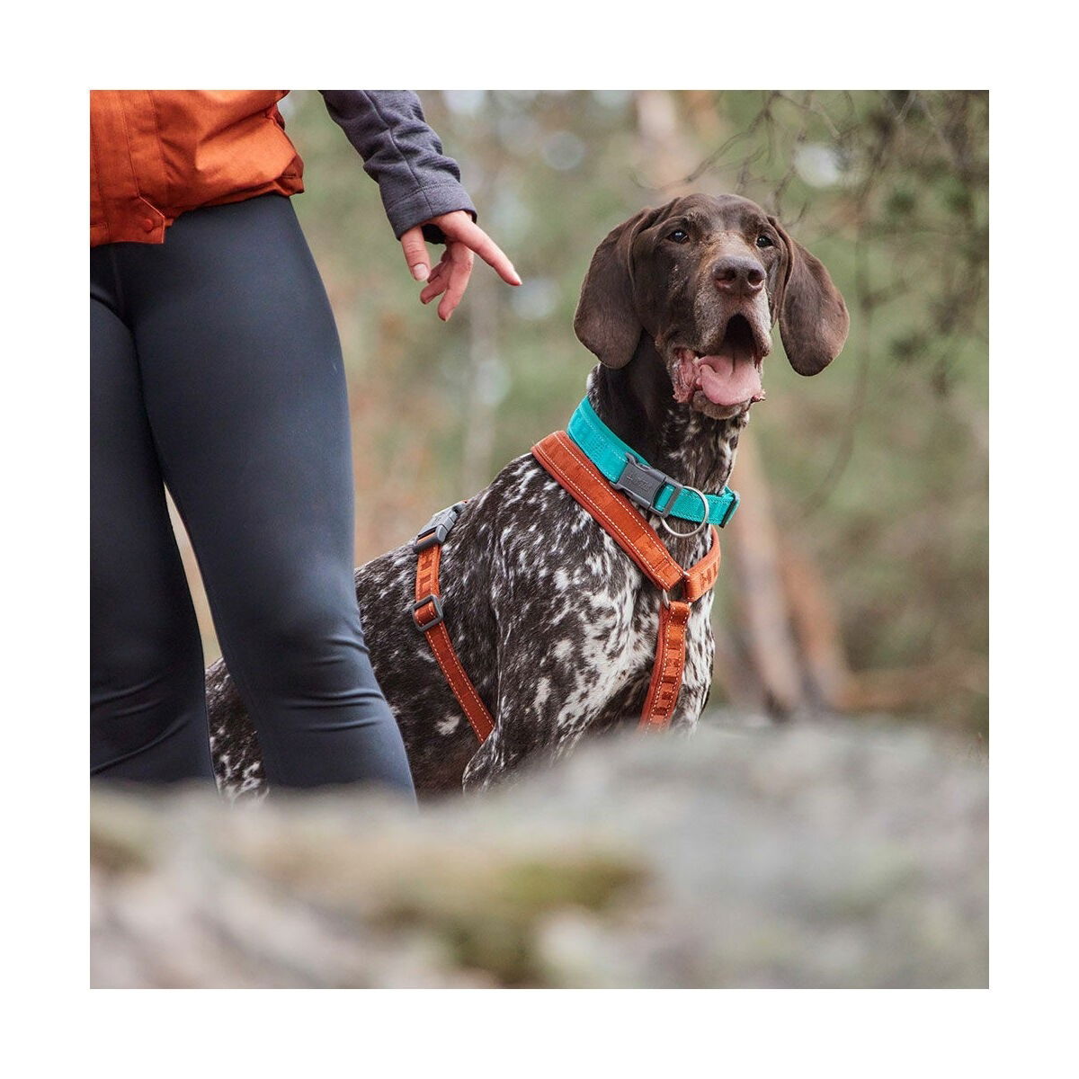 Hurtta Casual collar ECO peacock