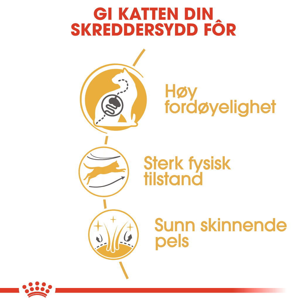 Royal Canin Bengal Adult tørrfôr til katt