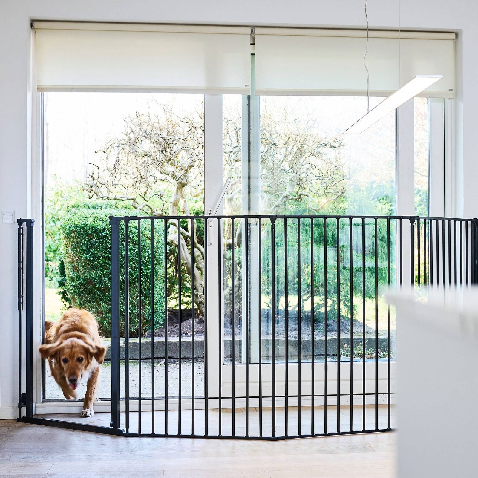 DogSpace Rocky wall mounted multi-expandabale gate extra tall