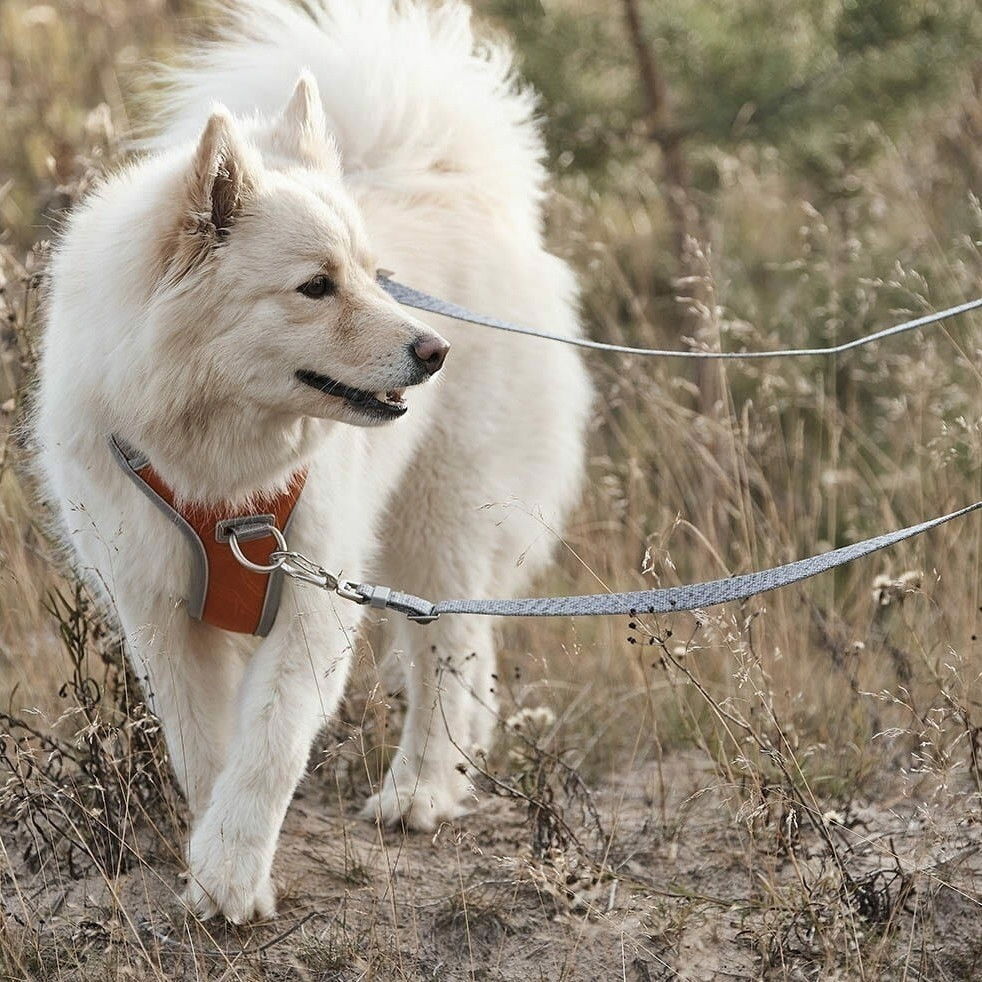 Hurtta Venture No-Pull harness coral