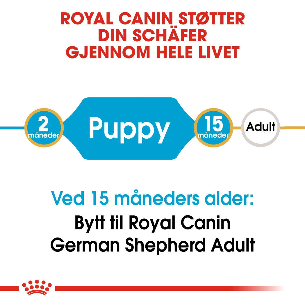 Royal Canin German Shepherd Puppy tørrfôr til hundvalp