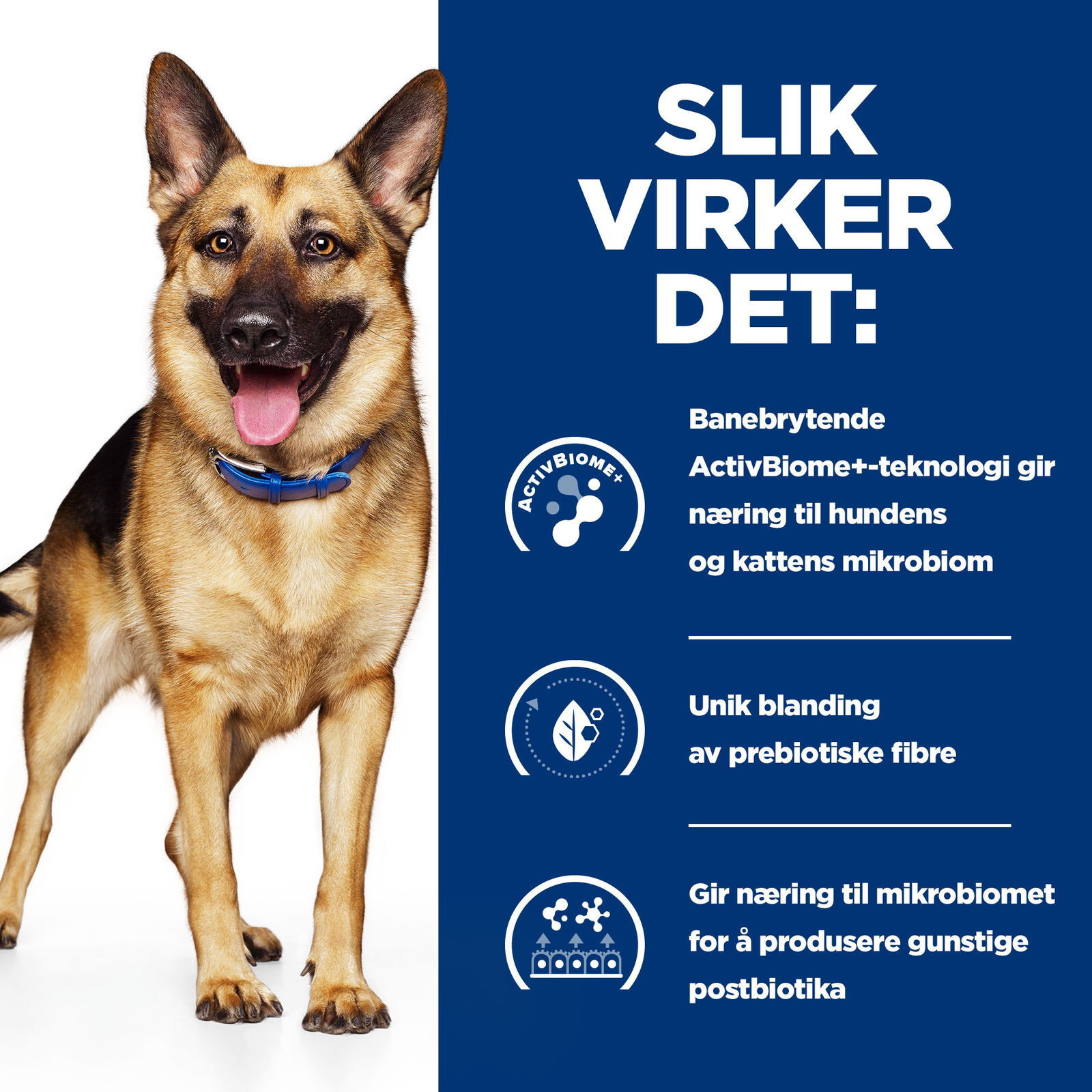 Prescription Diet Gastrointestinal Biome Hund med Kyckling