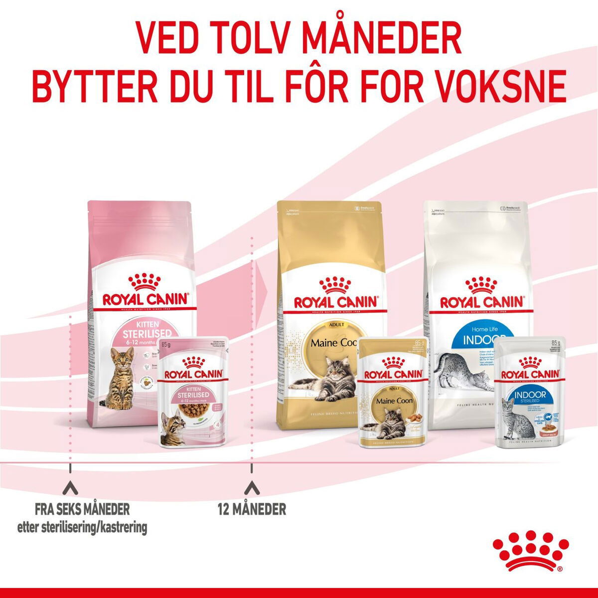 RC FHN Kitten Sterilised Gravy 12x85g 