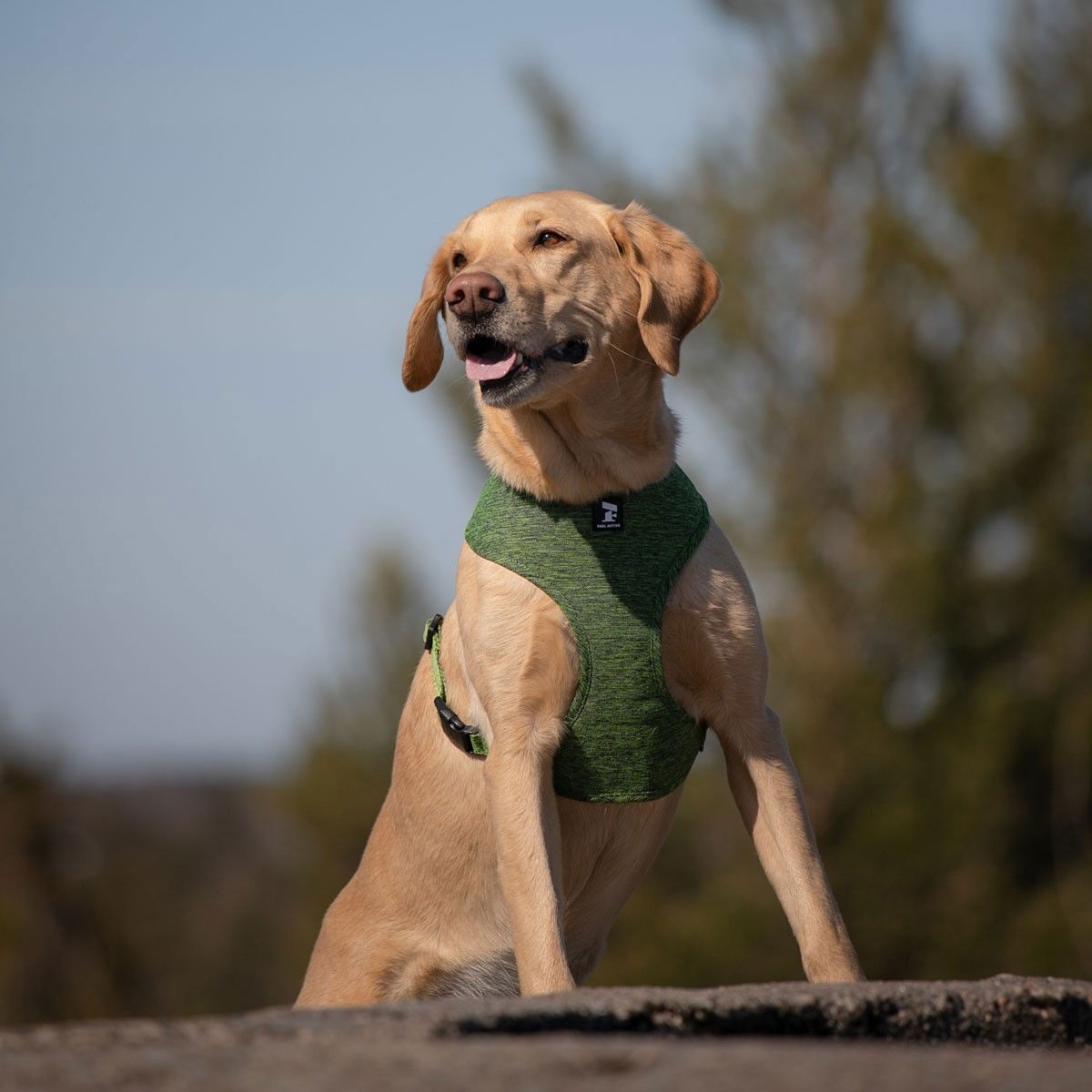 Feel Active Soft Eco harness Green