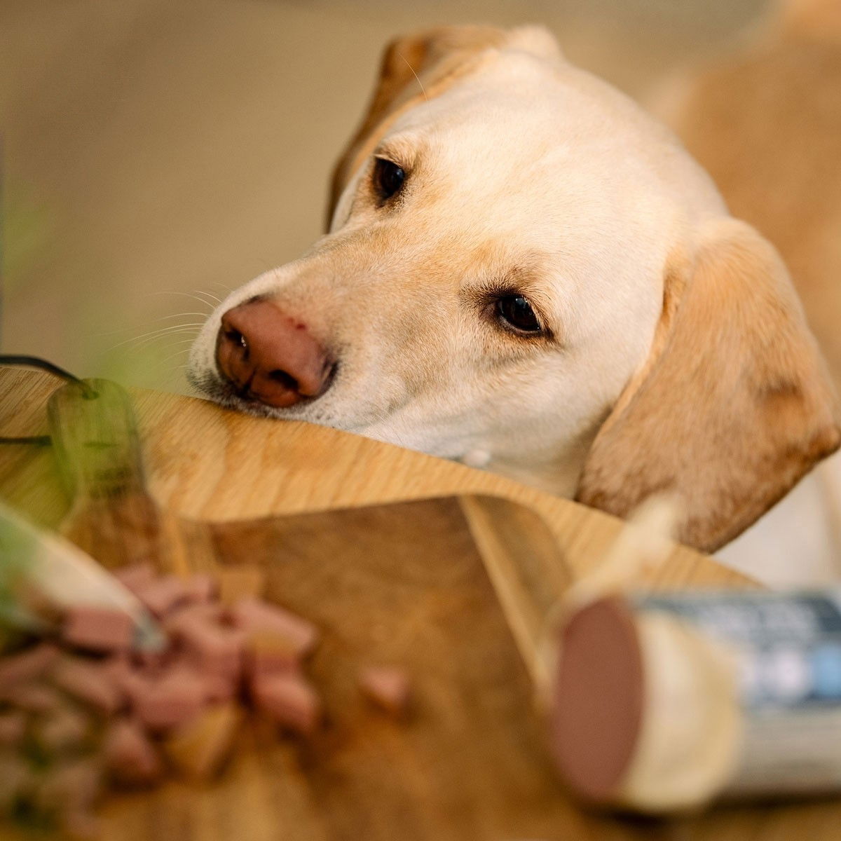 Trick&Treat Paté Sausage Horse