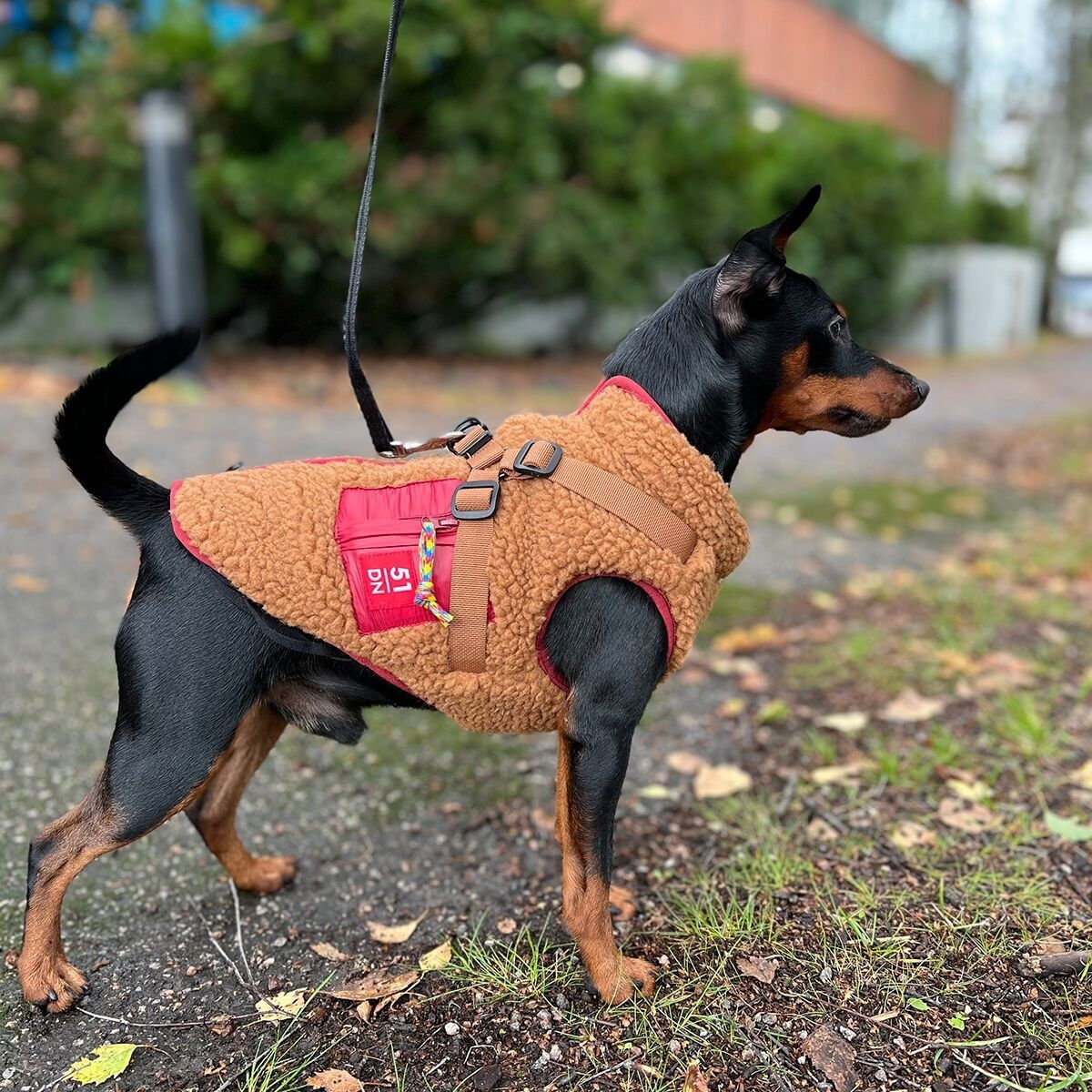 51 Degrees North Jules Harness Coat, brown