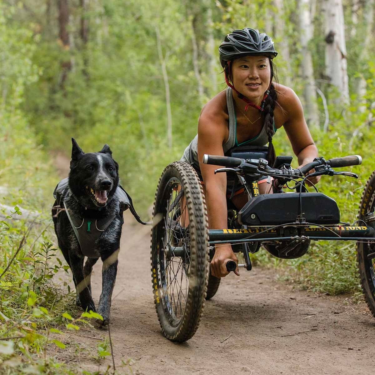 Ruffwear Roamer™ Leash Granite Gray 