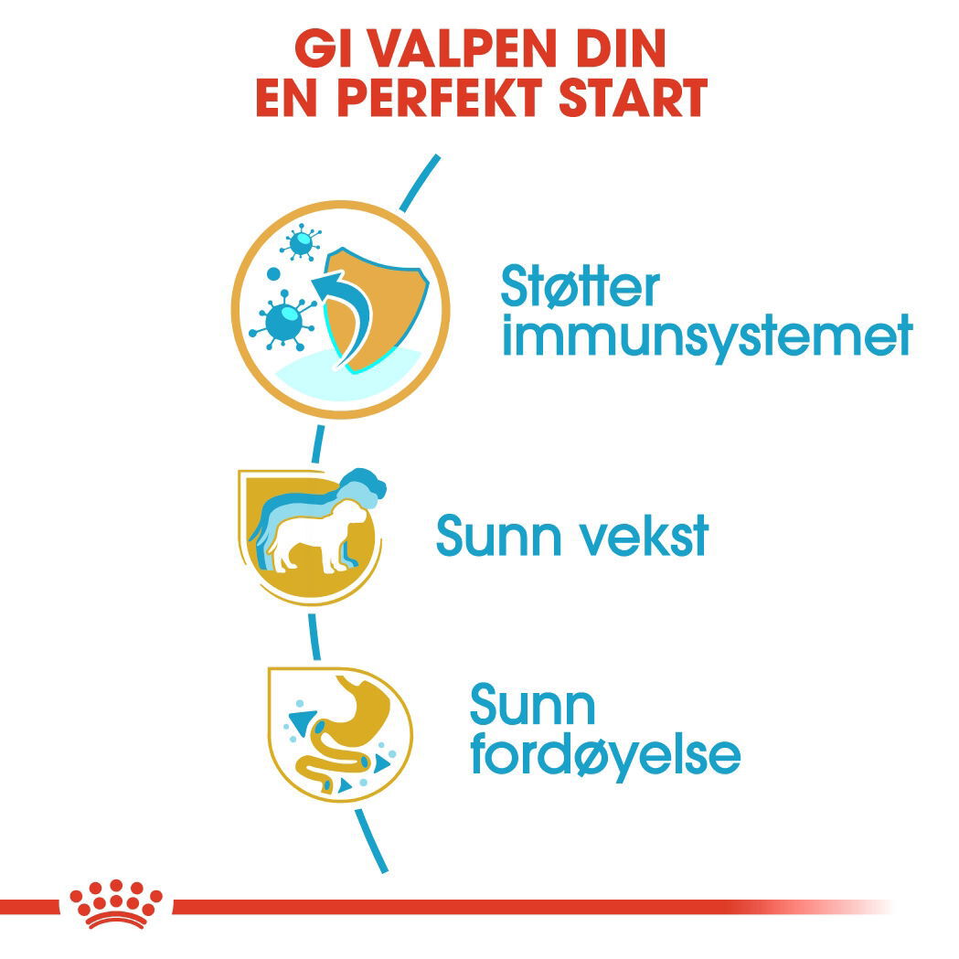 Royal Canin Jack Russel Puppy tørrfôr til hundvalp