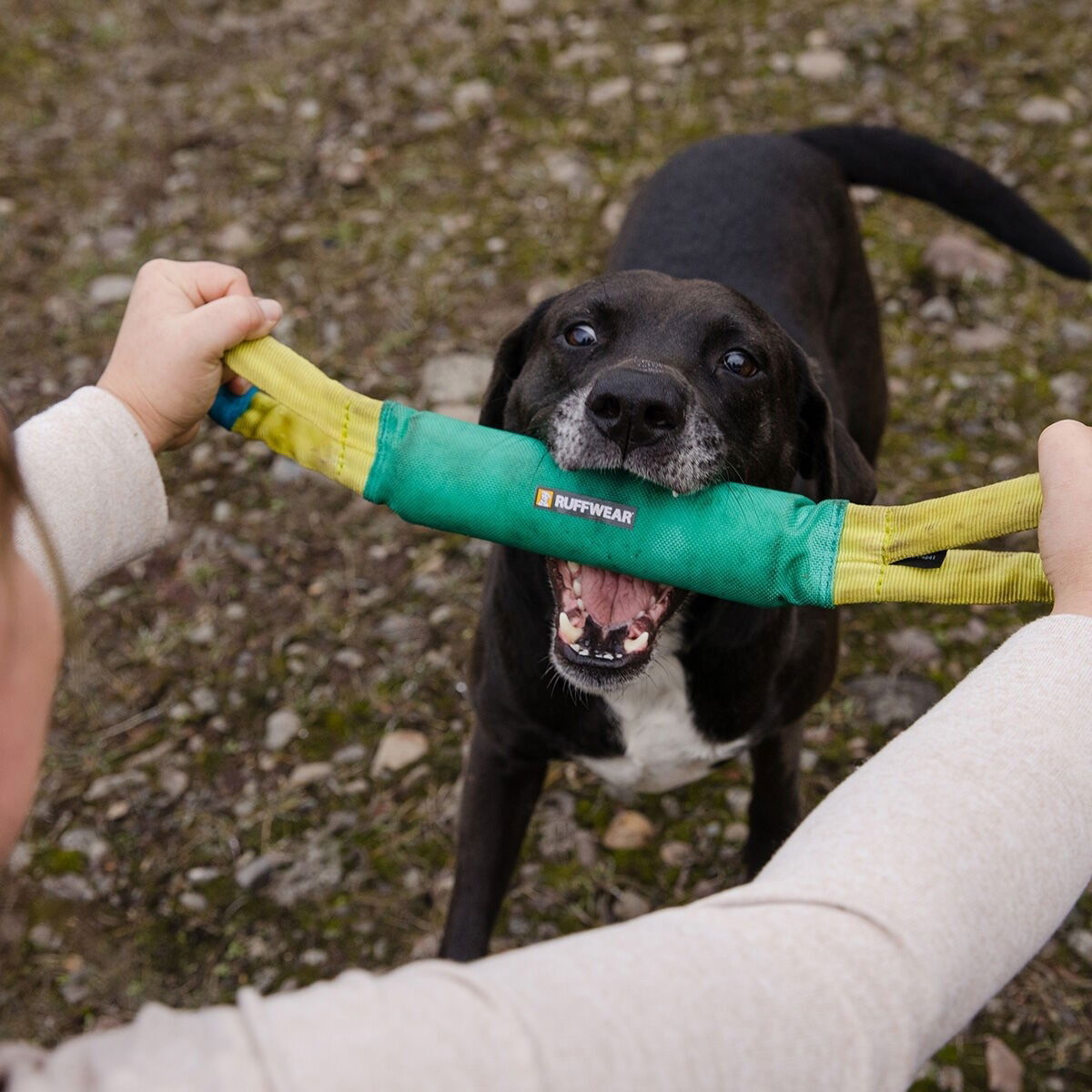 Ruffwear Pacific Loop Toy, Aurora Teal