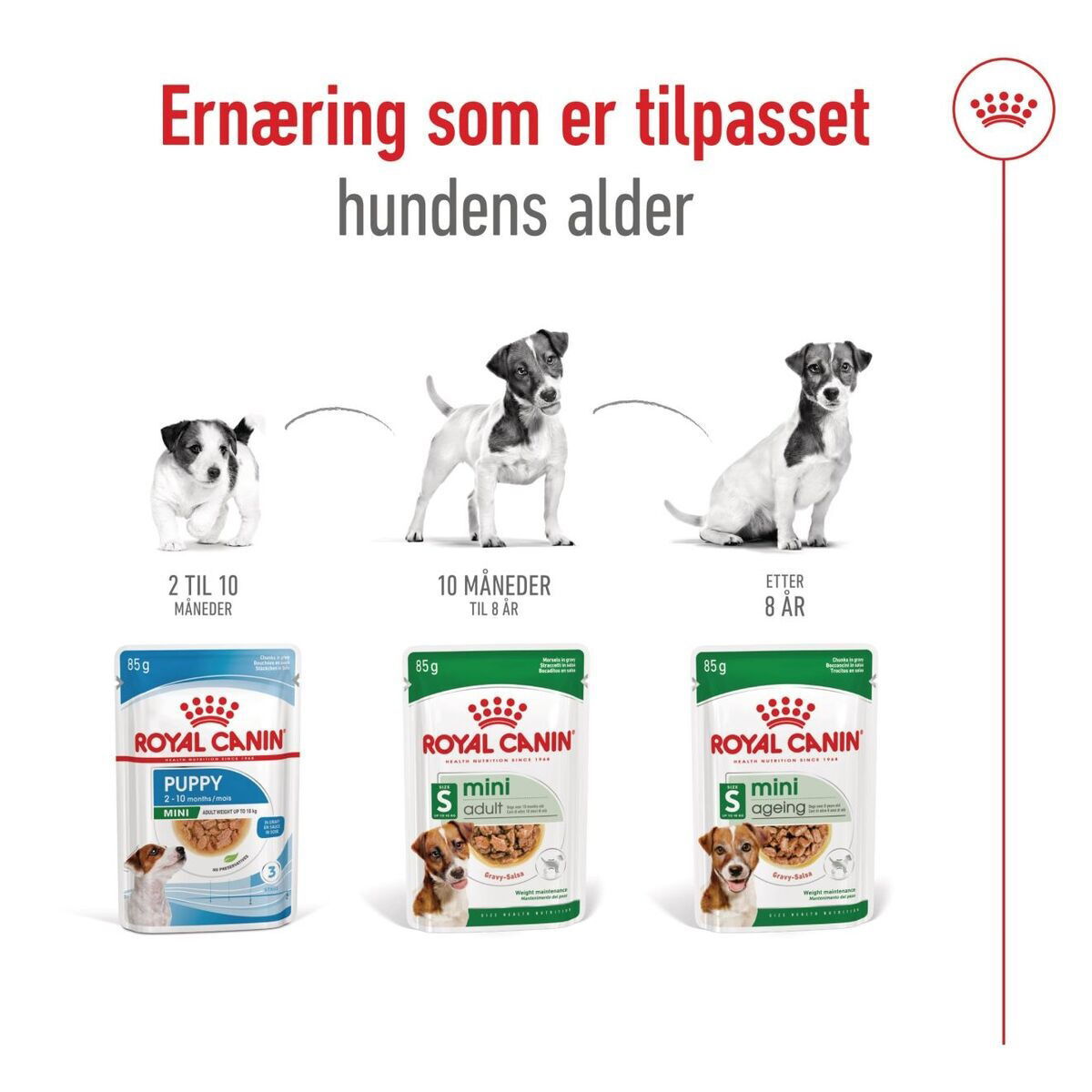 Royal Canin Mini Adult Gravy våtfôr til hund